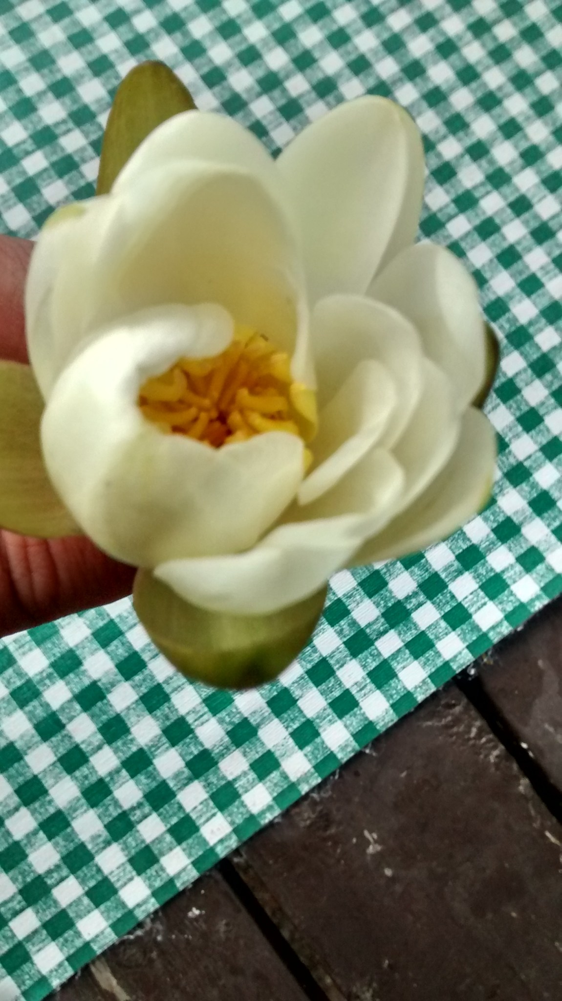 IMG_20160822_152159654_HDR