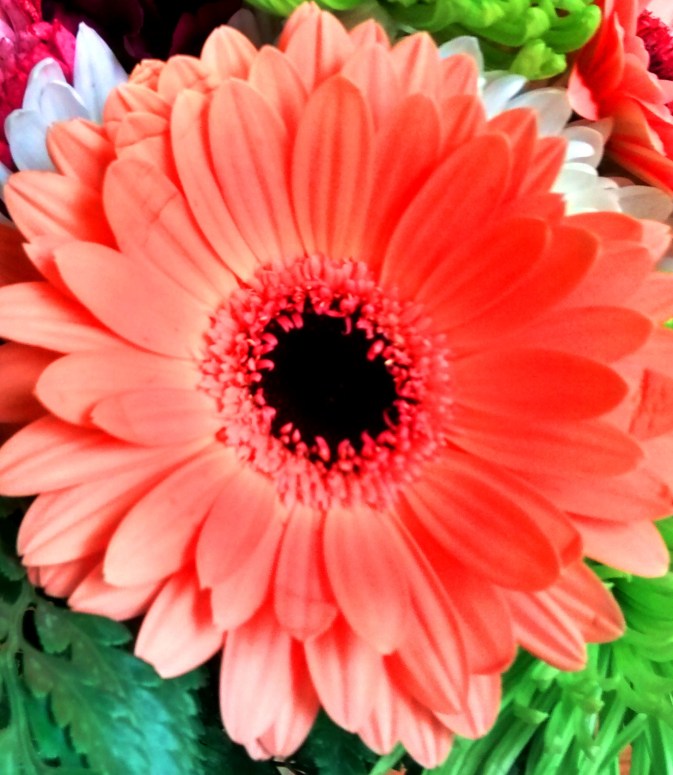 img_20170111_174417834_hdr