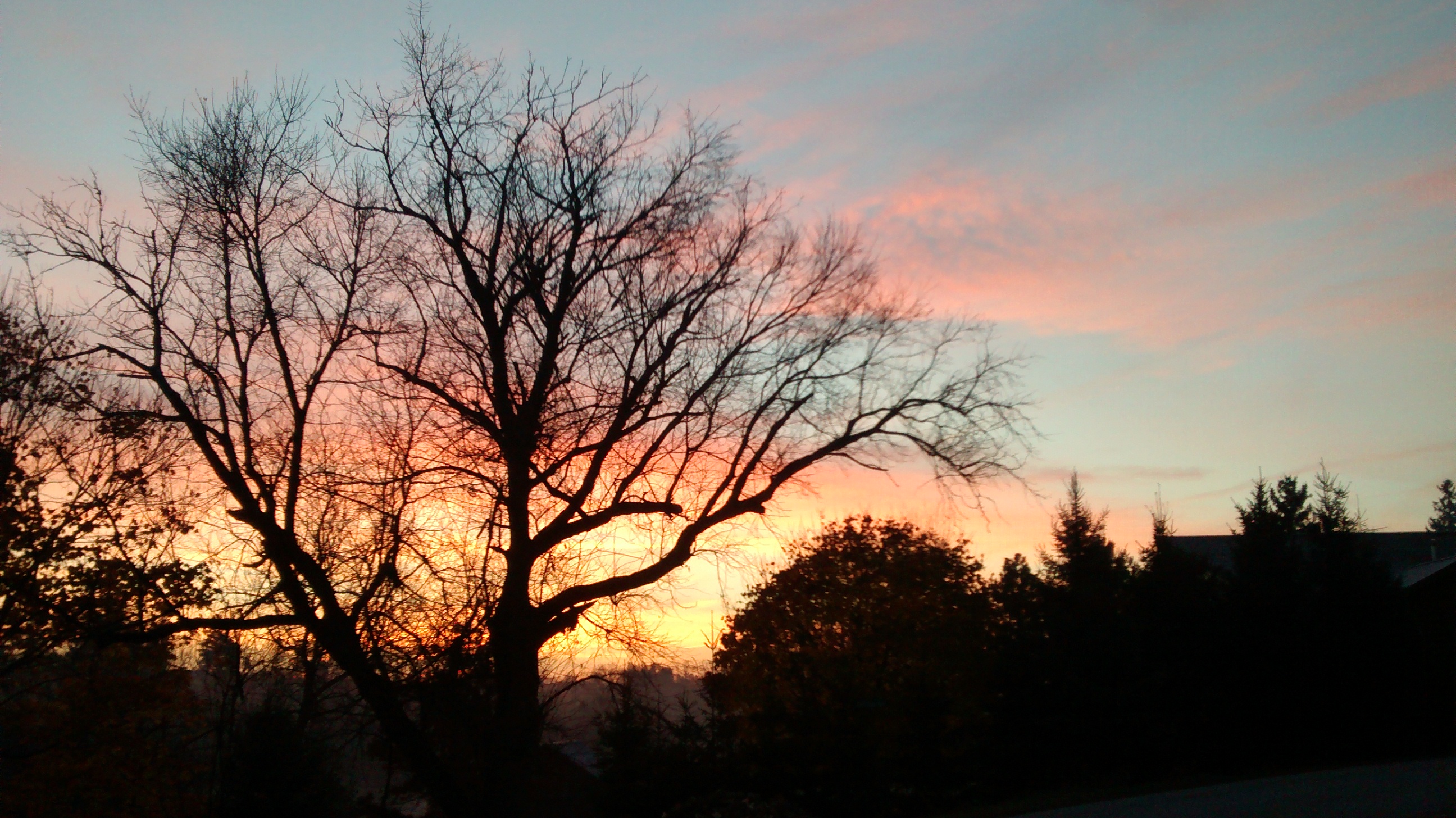 IMG_20161108_065514930