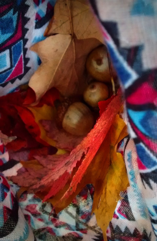 IMG_20171008_144105716 (3)