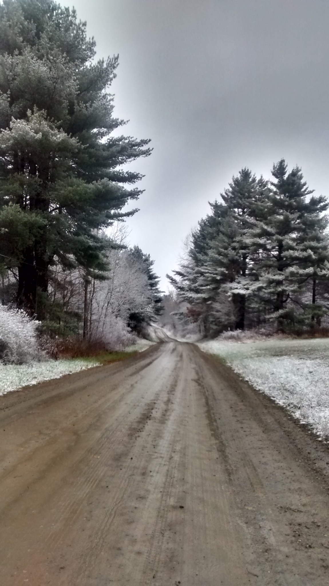 IMG_20171119_155559475_HDR