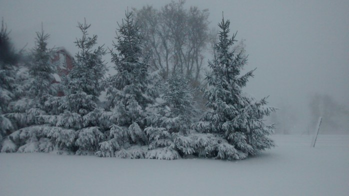 IMG_20161215_131805384