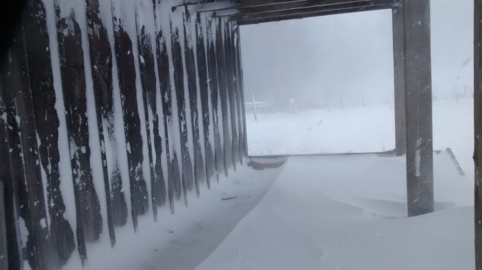 IMG_20161215_132213316