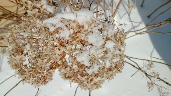 IMG_20171226_103706142