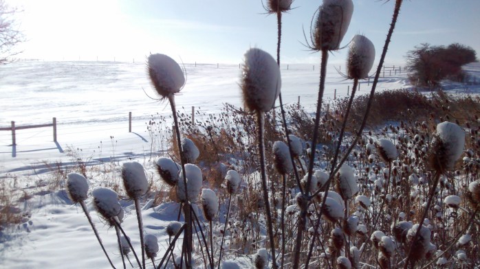 IMG_20171226_103957392