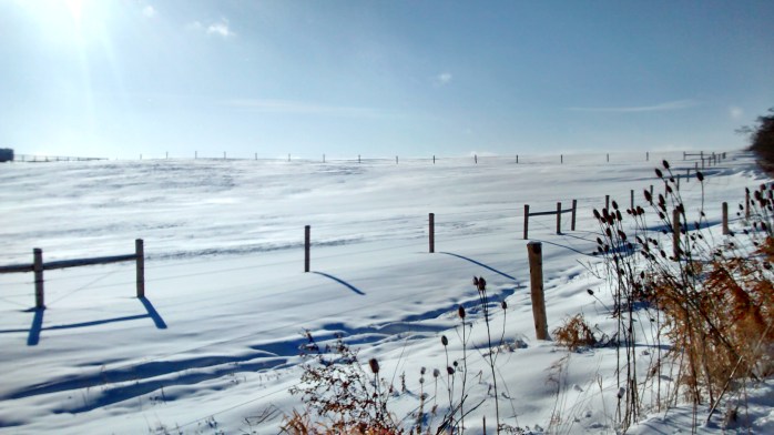 IMG_20171226_104047925_HDR