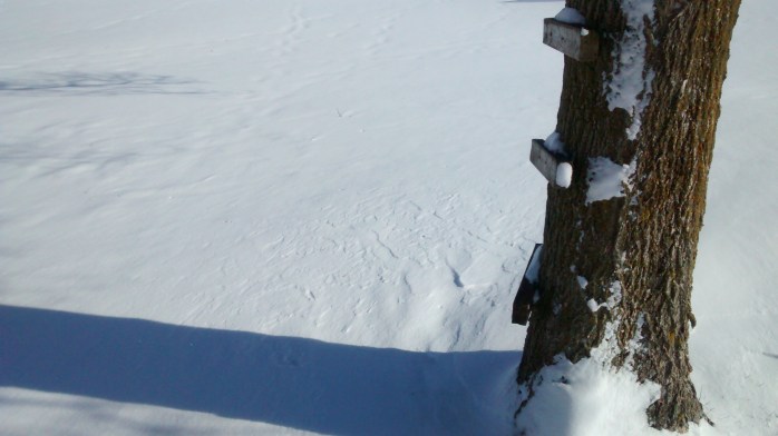 IMG_20171226_104120342