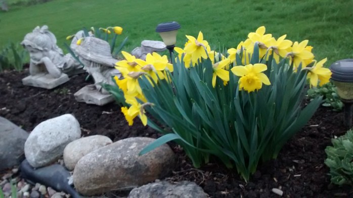 IMG_20170425_200534765