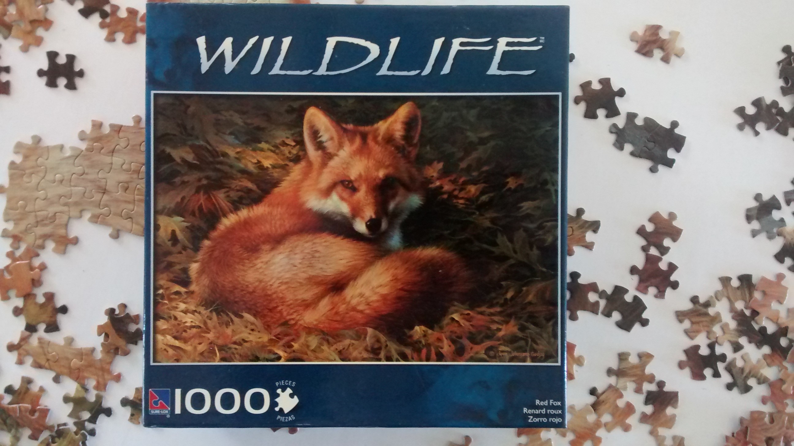 IMG_20200521_151441210