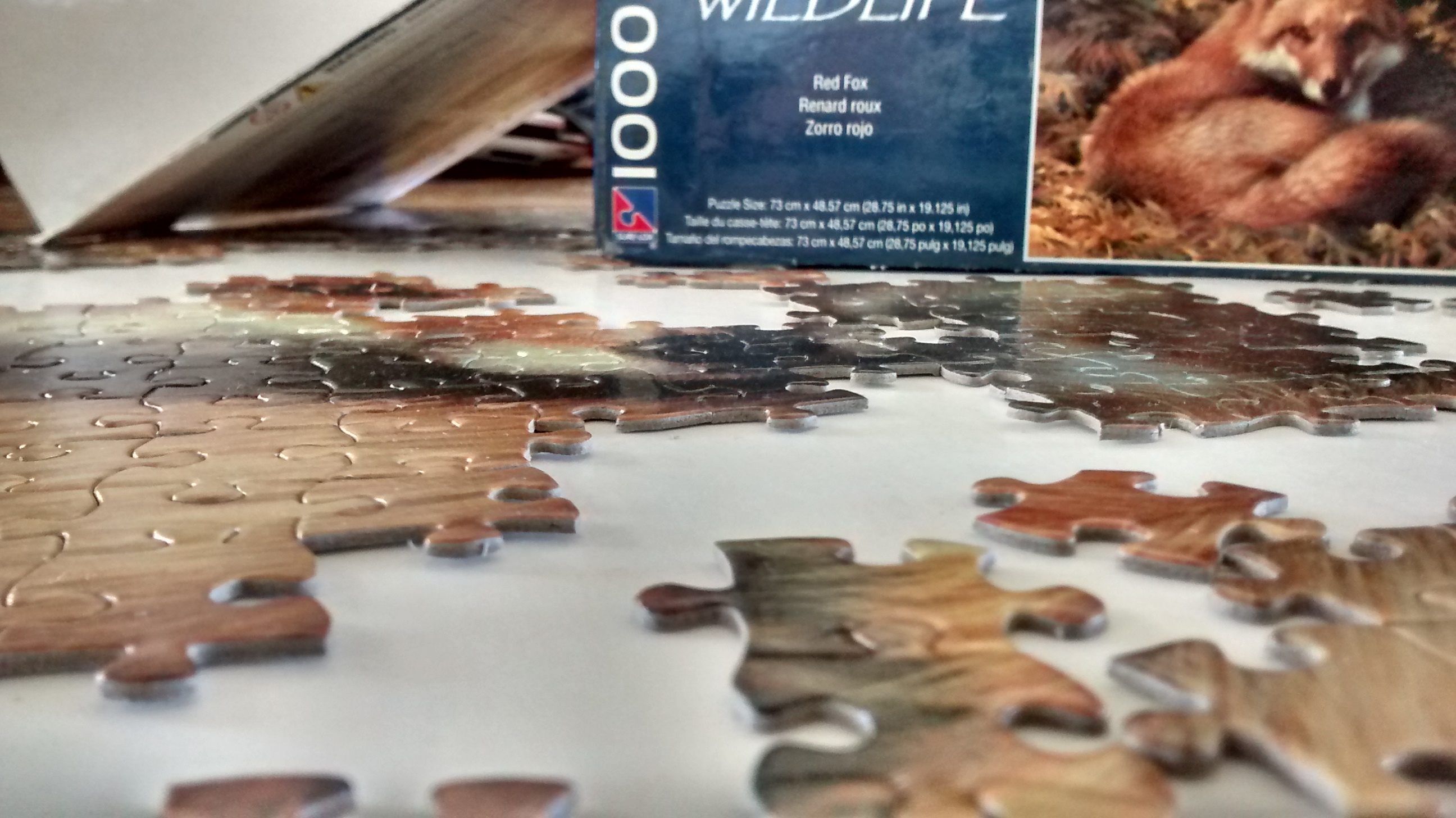 IMG_20200521_151625863_HDR